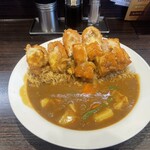 CoCo壱番屋 - 料理写真:オランダコロッケ　他トッピング