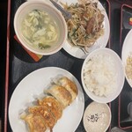 Shoryu Gyoza Bo - 