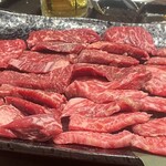 Kuroge Wagyu Ittogai Honkaku Wagyu Yakiniku Private rooms Seikouen Omiya Ten - ハラミ、ロース、カルビ