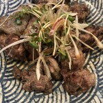 Koshi-Tantan - 親鶏炭火焼き