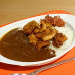 Curry-chan Curry Kariya Highway Oashis Ten - 