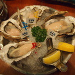 Oyster Bar ジャックポット - 