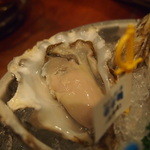 Oyster Bar ジャックポット - 老者舞(おしゃまっぷ　540円)