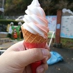 仲持茶屋 - ソフトクリーム、イヨカンバニラミックス300円