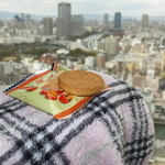 Miyazaki Kukou Okashi Shop - 宮崎県　太陽のマンゴークッキー：21個：800円