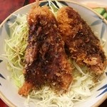 ばんどう太郎 - ソースひれかつ丼ランチのソースひれかつ丼