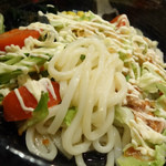 Sanbandokoro Shikoku Udon - 2014年3月　サラダうどんの麺の具合