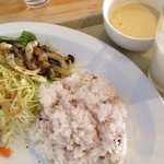 Saison Deli Cafe - 鶏肉サラダとサーモンパリパリ野菜サラダの組み合わせ、ライス。