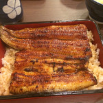 Unagi Nakaya - 