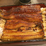 Unagi Nakaya - 