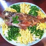 焼肉じゅうじゅう - 料理写真:カサゴソーメン子供たちのために店が用意してくださいました。感謝