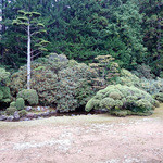 Koya San Kongobuji - 高野山開創1200年 高野山真言宗 総本山 金剛峯寺