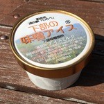 Michi no Eki Shimobe - 下部の味噌アイス 300円