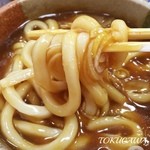 Koshin An - 2016 カレー南蛮　うどん