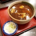 Koshin An - 2016 カレー南蛮　うどん