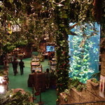 Rainforest cafe - 