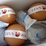 Toyonchi no Tamago - 手土産にするといいかも！