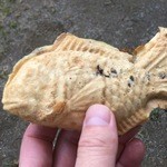 Taiyaki Matsukawa - 