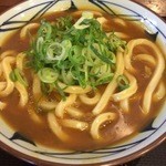 Marugame Seimen Kanazawa Yumatsu Ten - カレーうどん