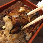 Unagi Nakaya - 