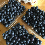 Isono Blueberry En - 