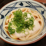 Marugame Seimen Toyohashi Fujisawa Ten - とろろ醤油うどん