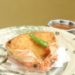 Yokohama Serina Roman Chaya - 