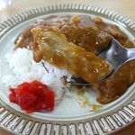 Yabu Sho - 豚肉と玉葱のカレーです