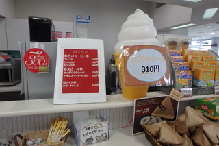 JAL PLAZA - ３１０円です