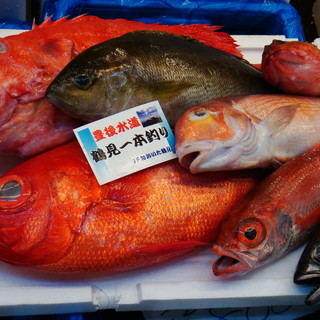 豊洲から仕入れた“本物の鮮魚”を心ゆくまで