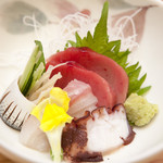 Sawa Zushi - 