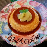 カフェ バード ケージ - 