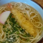 Tsukimi Chaya - てんぷらうどん