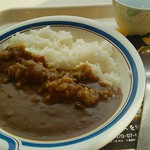 Oita Daigaku Cafe Teria Shokudo - レギュラーカレー M ￥226