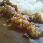 Oita Daigaku Cafe Teria Shokudo - カレー up