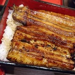 Unagi Nakaya - 