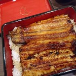 Unagi Nakaya - 