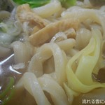 いずみの湯 レストラン - 料理写真:吉田のうどん