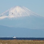 ギャラリー＆ティーサロン nagomi - 店内から世界遺産富士山が見られます