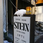 Stein - 