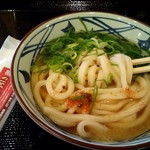 丸亀製麺 - かけうどん並