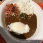 Curry-chan Curry Kariya Highway Oashis Ten - 