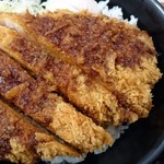 Tonkatsu Katsu Sho Ionmoruhigashinoten - ソースかつ丼