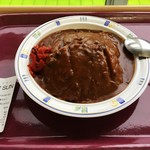 Kokusai Kyoyo Daigaku Cafe Teria - ダブルかつカレー550円