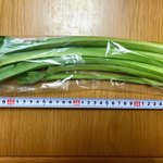 スパッシュランドしろいし - 先日買った「うるい」の倍の長さと太さで税込¥100ポッキリ\( ˆoˆ )/