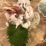 Sakae Zushi - 