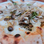 Pizza tetto - 