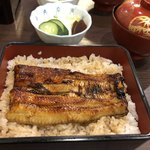 Unagi Nakaya - 