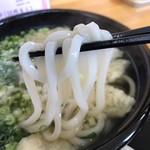 Shichifuku Udon - 麺は細めでツルツルしてる