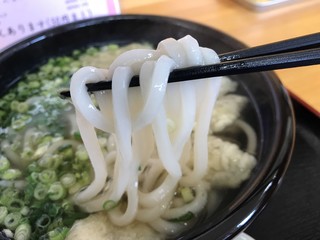 Shichifuku Udon - 麺は細めでツルツルしてる